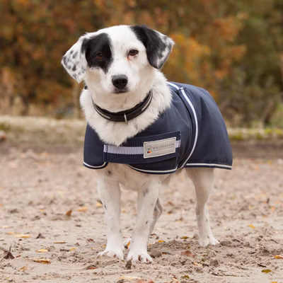 Waldhausen Hundedecke Comfort Line 200g