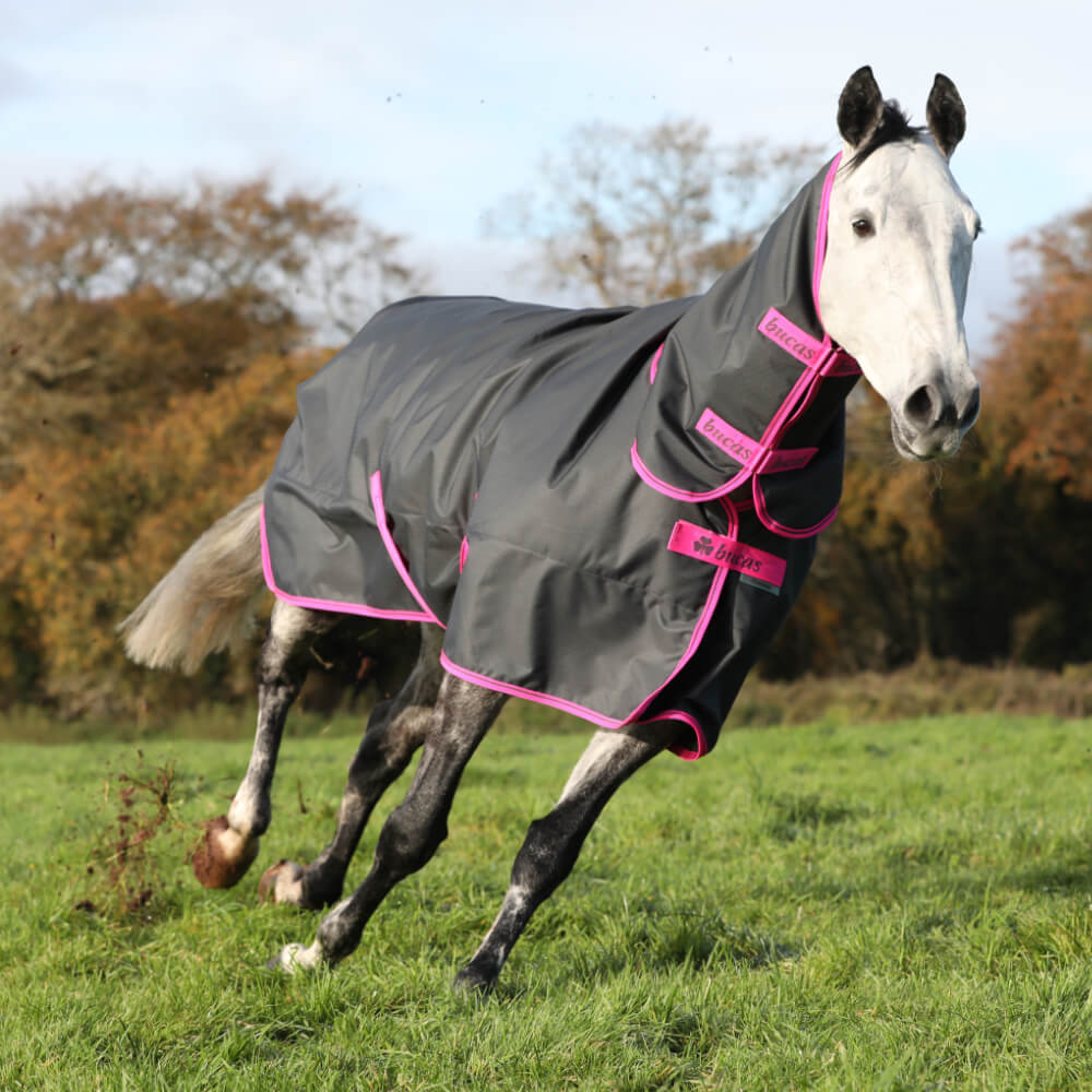 Weidedecke Pferd Outdoor Decke Full Neck Bucas Bucas Freedom Turnout 300 G Mit Full Neck – Weidedecke Für Pferd, Outdoordecke, NEU