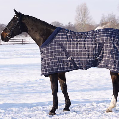 QHP Stalldecke Luxus 300g