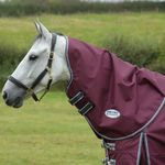 Maroon/Grey/White